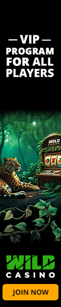 Wild Casino