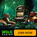 Wild Casino